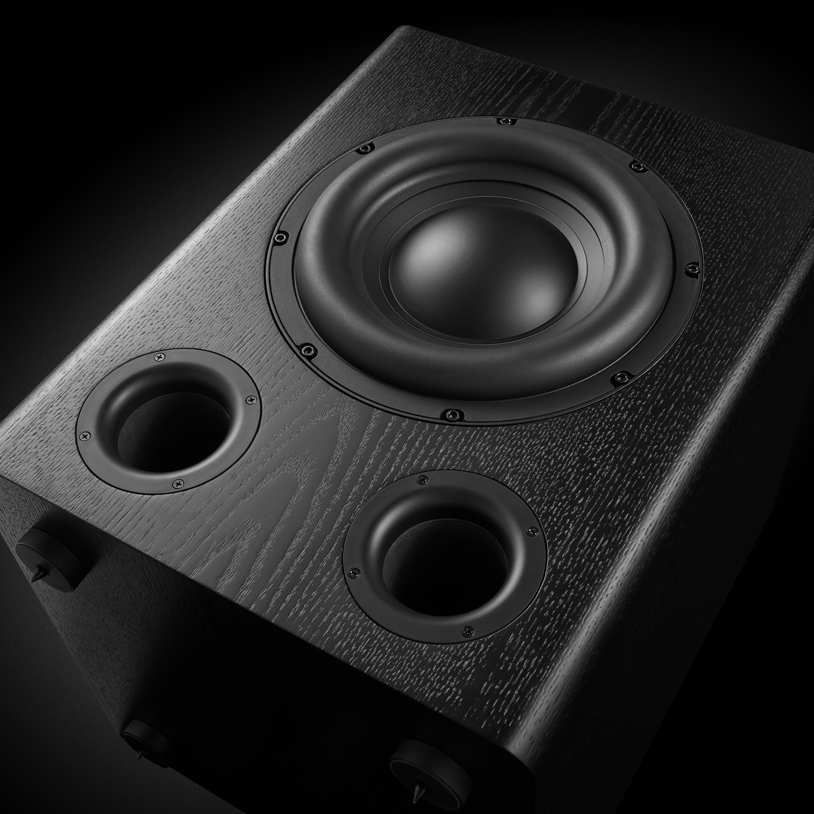 SSW-5 - Black - 12 -inch (300mm) 1,000W powered subwoofer - Detailshot 1